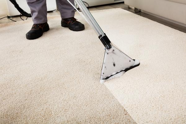 professional carpet cleaning idaho falls