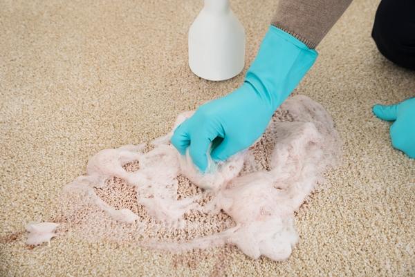 carpet cleaning idaho falls id